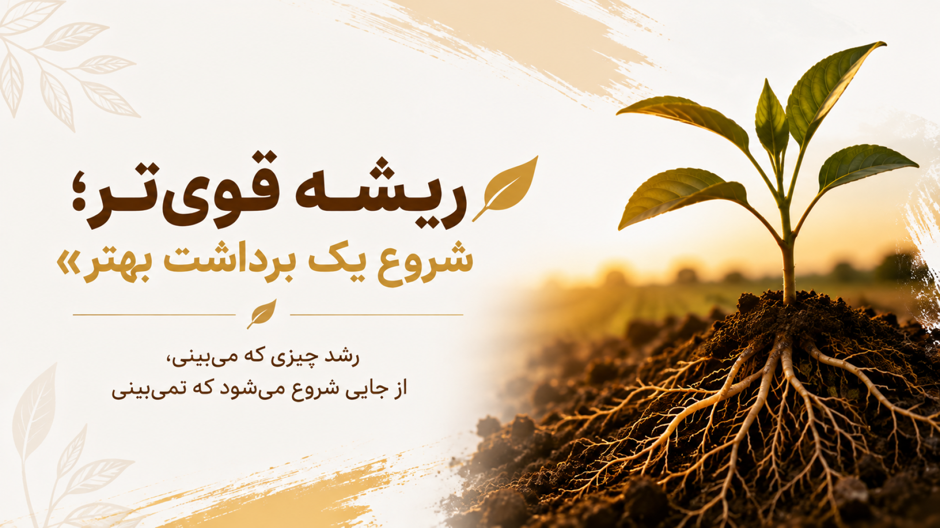 سبزینه/سلامت گیاه