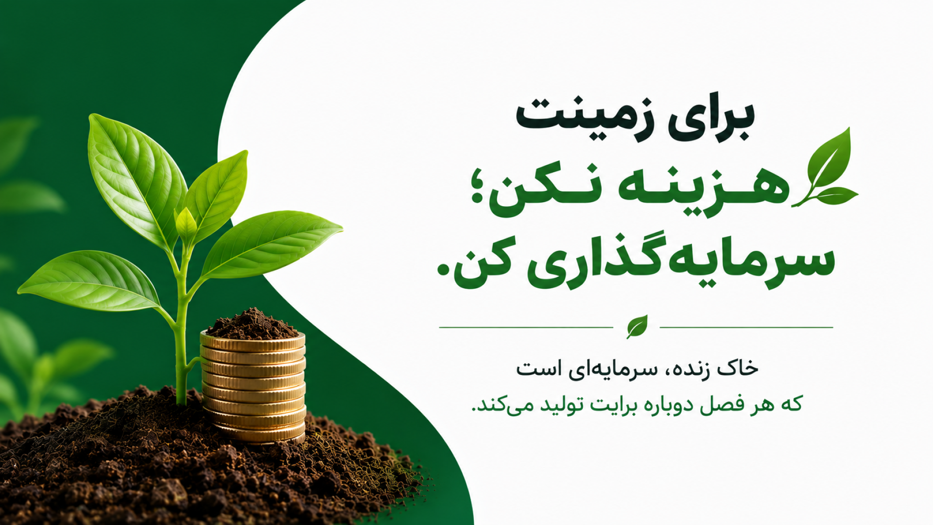 سبزینه/سلامت گیاه